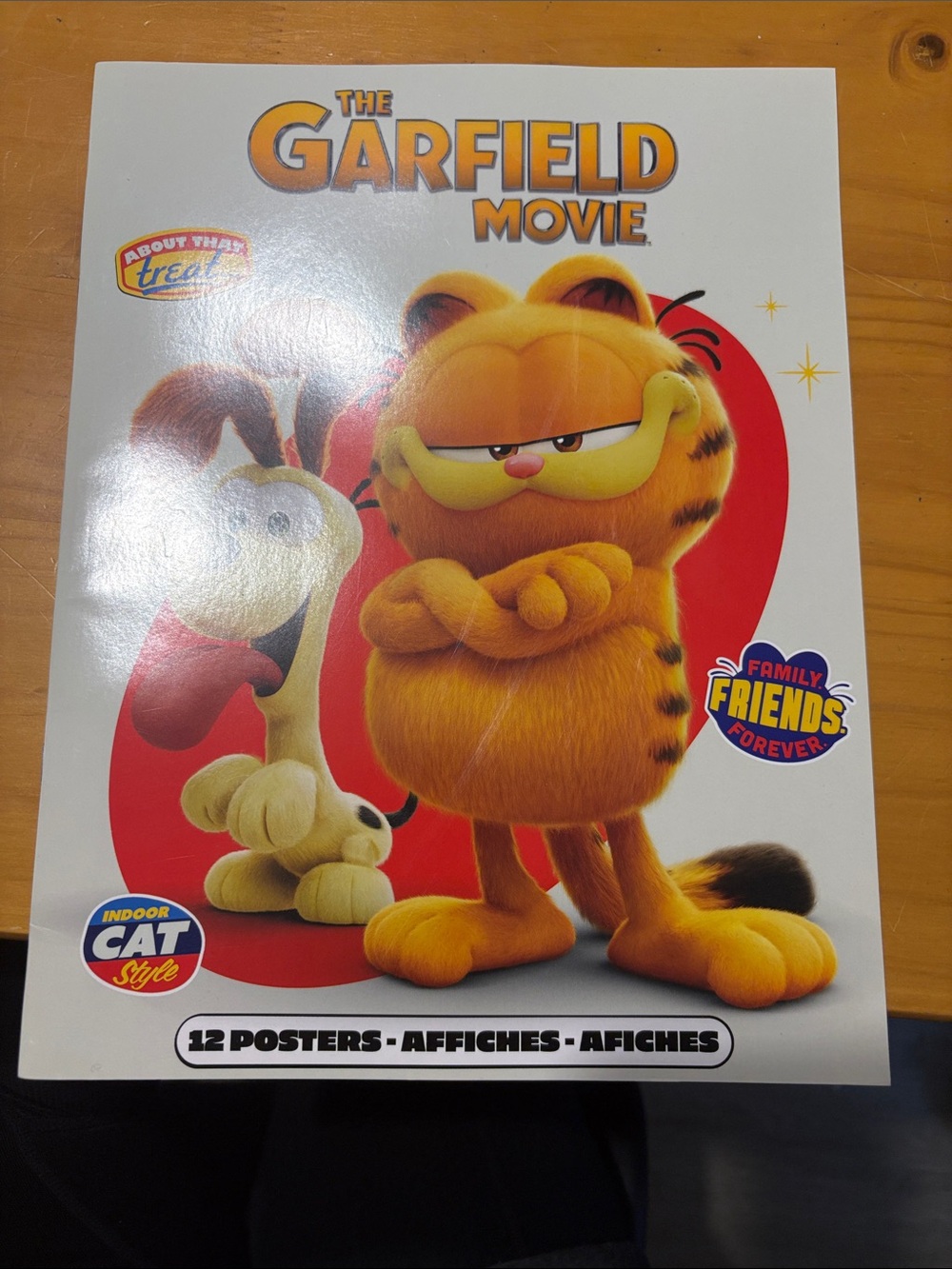 Garfield Movie Cat Poster Pack - Orange 8 1/2” x 11”